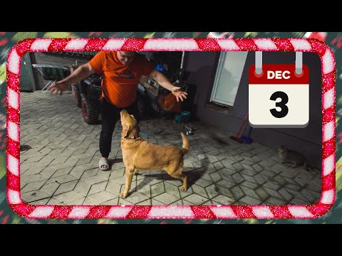 VRATIO SE REX! Vlogmas (Sezona 6) 3/31