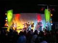 Upstream You Re Alive Summernight 08