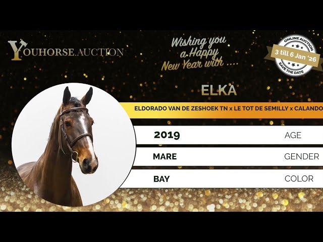Elka Z 6yo class