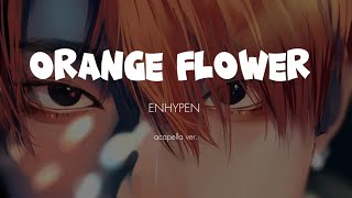 Download lagu ENHYPEN - Orange Flower (clean acapella) mp3