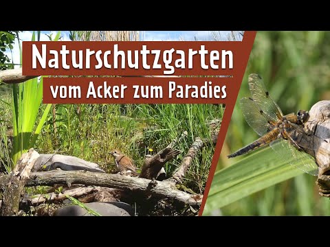 Natur in den Garten holen | MDR Garten