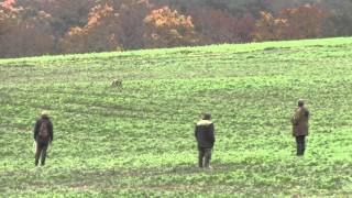 Cobro por Rastro de Pelo