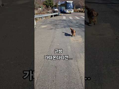 집에좀 있으라니까는..