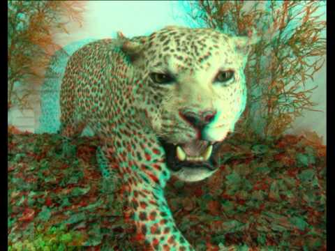 Dark Psytrance   Kimrameischka 08 2015