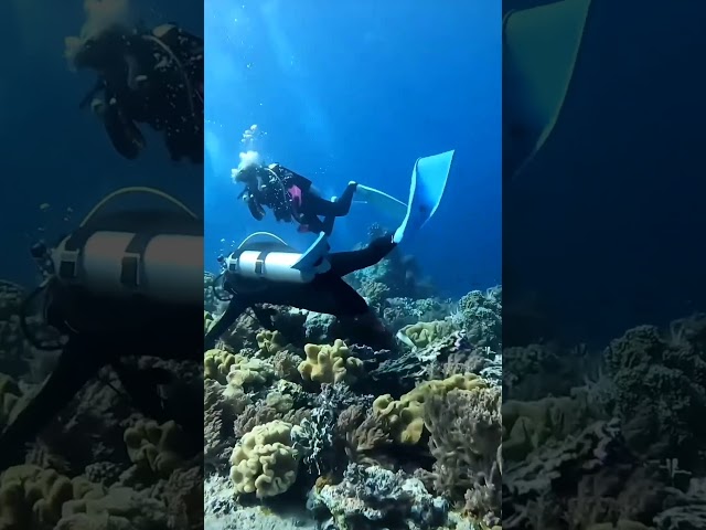 Vídeo relacionado con XLWLLNJ 2 Figuras de Buzo en Miniatura, Estatua de Resina, Diseño de Juego de Microadornos de Paisaje, Mini Figuras de Nadadores para Submarino, Mesa