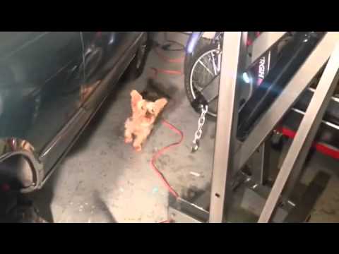 Mercedes Benz Fuel Distributor | Mercedes 450SL