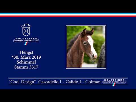 Holsteiner Fohlenauktion am 15. Juni 2019 | Nr. 05 - Cool Design v. Cascadello I-Calido I