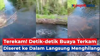 Download lagu Detik-detik Pria Diterkam Buaya di Kaltara, Diseret lalu Hilang Begitu Saja mp3