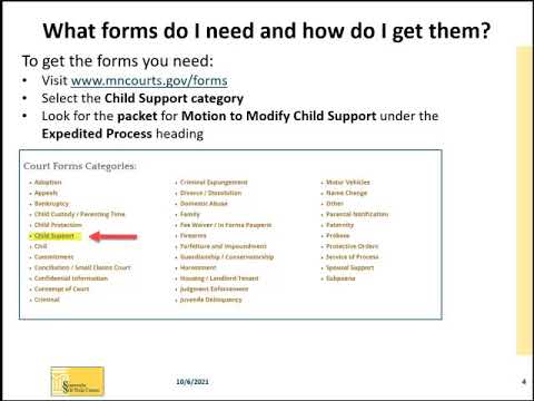 Chapter 1: Motion to Modify Child Support - Introduction