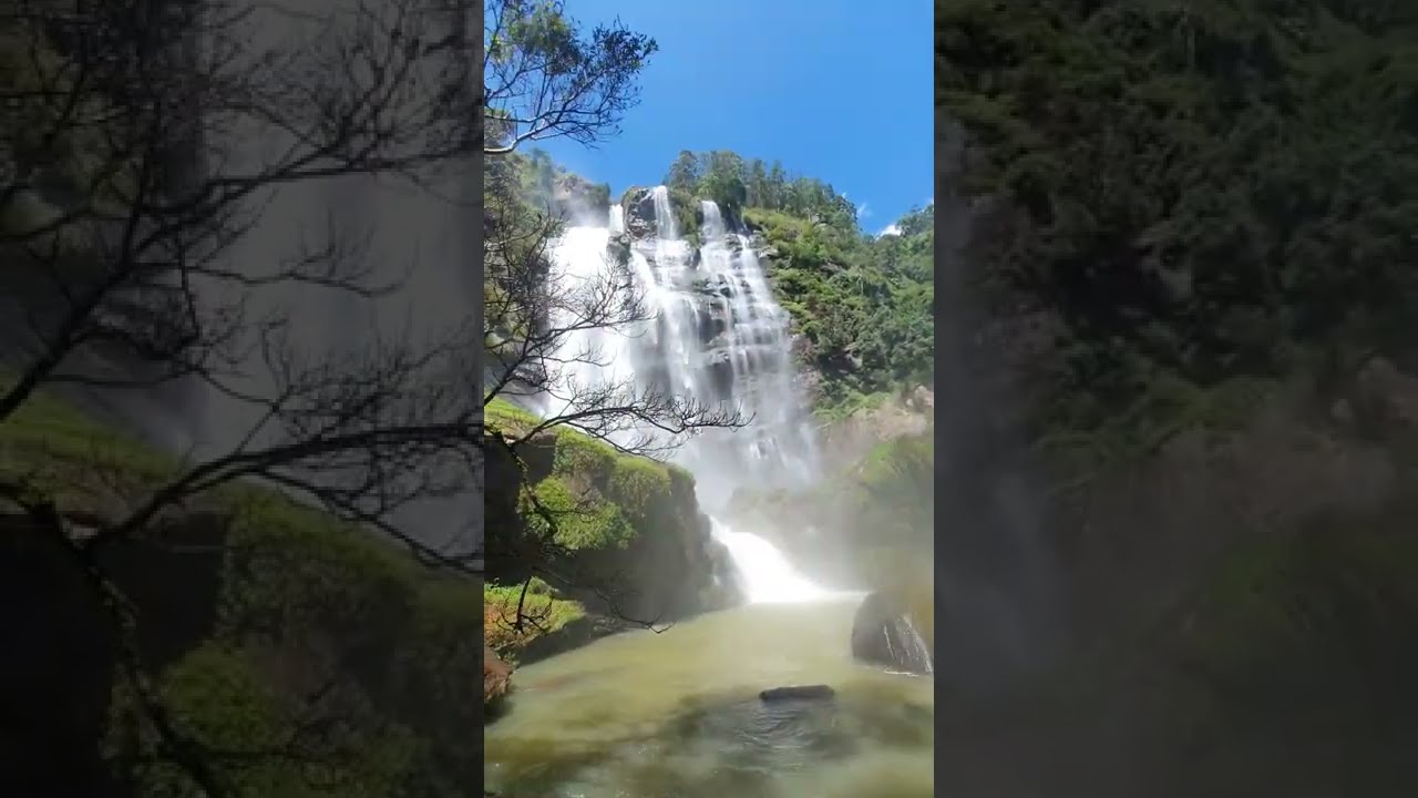 YouTube Short thumbnail