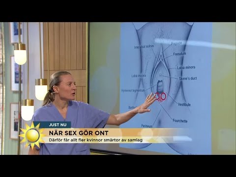 , title : 'Smärta vid samlag allt vanligare - Nyhetsmorgon (TV4)'