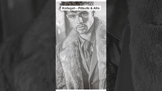 Kollegah - Pitbulls &amp; AKs (wenn es 1950 erschienen wäre) #oldisgold #music #viralshort