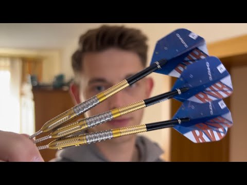 Ich teste die Target Raymond van Barneveld Chrono Swiss Point 95% Steeldarts