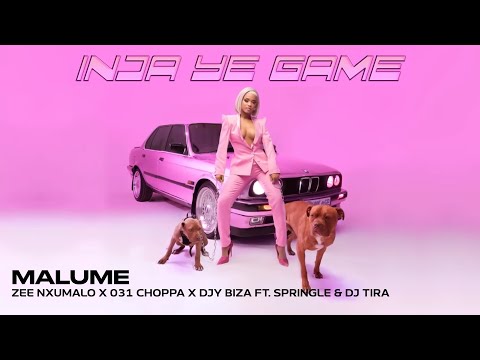 Zee Nxumalo, Djy Biza & 031choppa - Malume (feat. Springle & DJ Tira) Official Audio