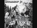 Dinosaur Jr. - The Leper
