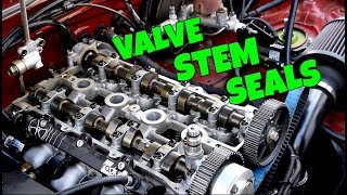 The ULTIMATE Guide To Replacing Valve Stem Seals The Easy Way