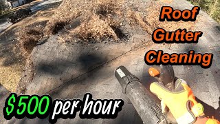Gutter Roof Clean