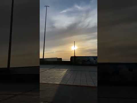 🖤🖤 #beach #love #malinois #dog #malinoislovers #doglover #animals #chien #malinoispower #playa