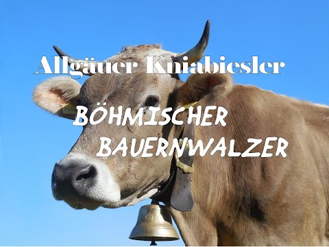 Böhmischer Bauernwalzer - Allgäuer Kniabiesler