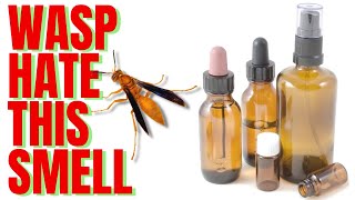 Wasp Hate This Smell | Use THIS and you'll never get another STING