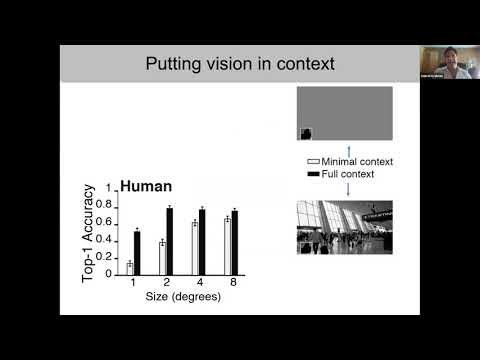 When pigs fly  contextual reasoning in man and machines   Gabriel Kreiman