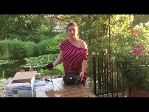 Watch Video on YouTube