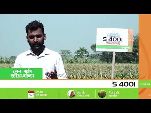 Syngenta testimonial video