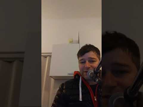 SVE BI DA ZA NJU (cover)