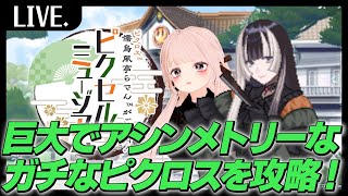 【らでピク】40×30のでかいやつやる【雑談ラジオ回でもある】