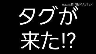 ［ゆっくり茶番］タグ回しをします