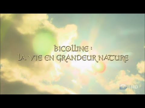 comment financer cinéma et télévision