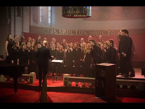 Sur le pont d'Avignon - Vic Nees (Gents Universitair Koor)