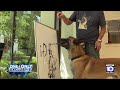 Friendly Dog S Artwork Has Gone Viral