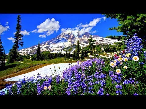 Mount Rainier National Park Episode 1 Nature Documentary Film