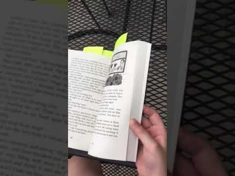 Double Felix by Sally Harris