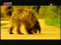 Jacknife Lee - Cookie [Berlin House @ VIVA TV]