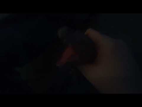 Predatori Del Jurassiko New Edition - Tyrannosaurus -