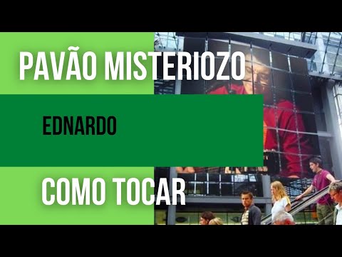 Sobre Macacos E Pavões - Vinte1vinte2