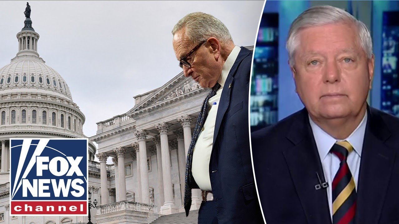 Lindsey Graham: This is BACKFIRING on the Dems