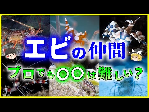 リダイレクトアイコン