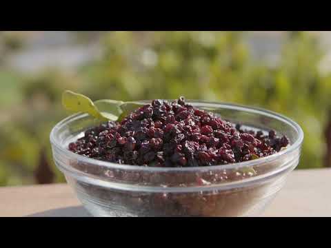 Σταφίδα Ζακύνθου ΠΓΕ