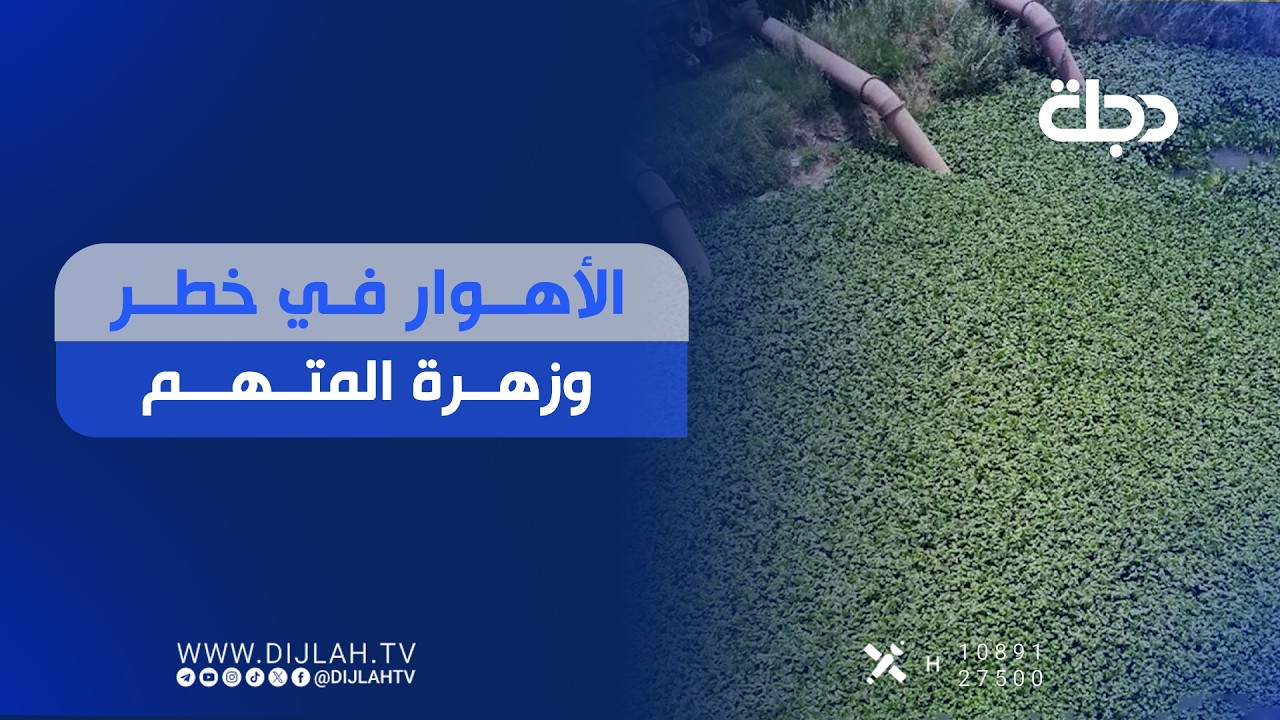 فيديو | الأهوار في خطـ.ــــر وزهرة المتهم