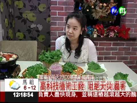 因應糧食危機 植物工廠正流行