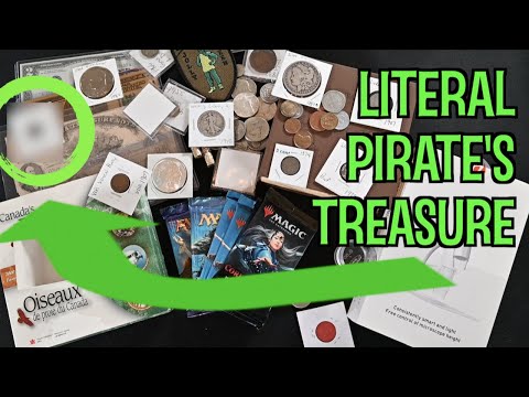 Insane Fan Mailed Me a $300+ Coin Collection Grab Bag 🤯