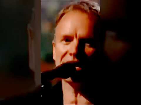 Sting: Englishman In New York Live At Il Palaggio #concert