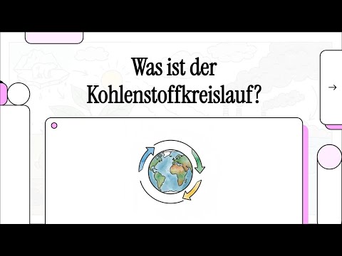 Kohlenstoffkreislauf | EINFACH ERKLÄRT