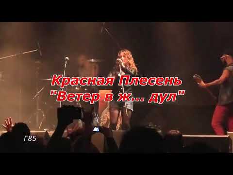 КРАСНАЯ ПЛЕСЕНЬ - ВЕТЕР В ЖОПУ ДУЛ.