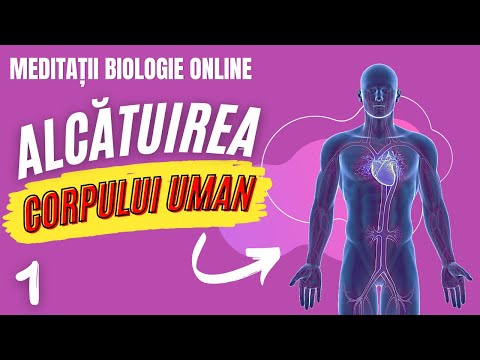 Alcătuirea corpului uman - curs biologie anatomie și genetică