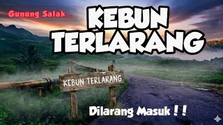 Download lagu The journey to the FORBIDDEN GARDEN of Mount Salak Road to the Holipet Kabandungan Sukabumi Parak... mp3