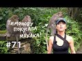 Почему мы любим массаж и сплетни? // Всё как у зверей #71 Почему мы любим массаж и сплетни? // Всё как у зверей #71
